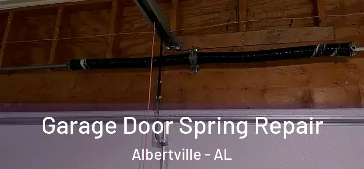  Garage Door Spring Repair Albertville - AL