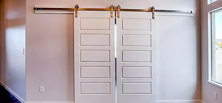 Glass Barn Door with Installation Hardware Kit Albertville
