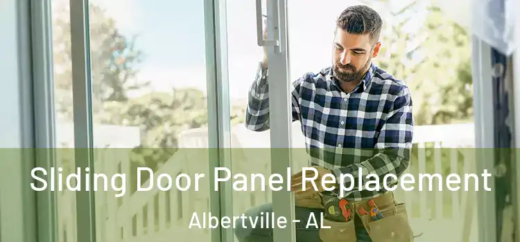  Sliding Door Panel Replacement Albertville - AL